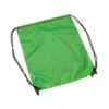 drawstring-bag-in-lime Legend Life Backsack Drawstring Bag