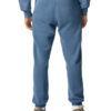 Comfort Colors Sweatpants from back