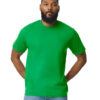 Gildan Softstyle T-Shirt